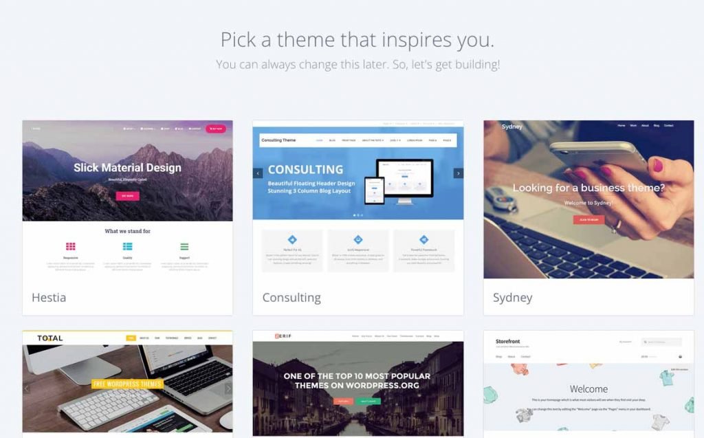 Choose Bluehost theme